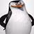 Profile picture for user bonzo and the bov